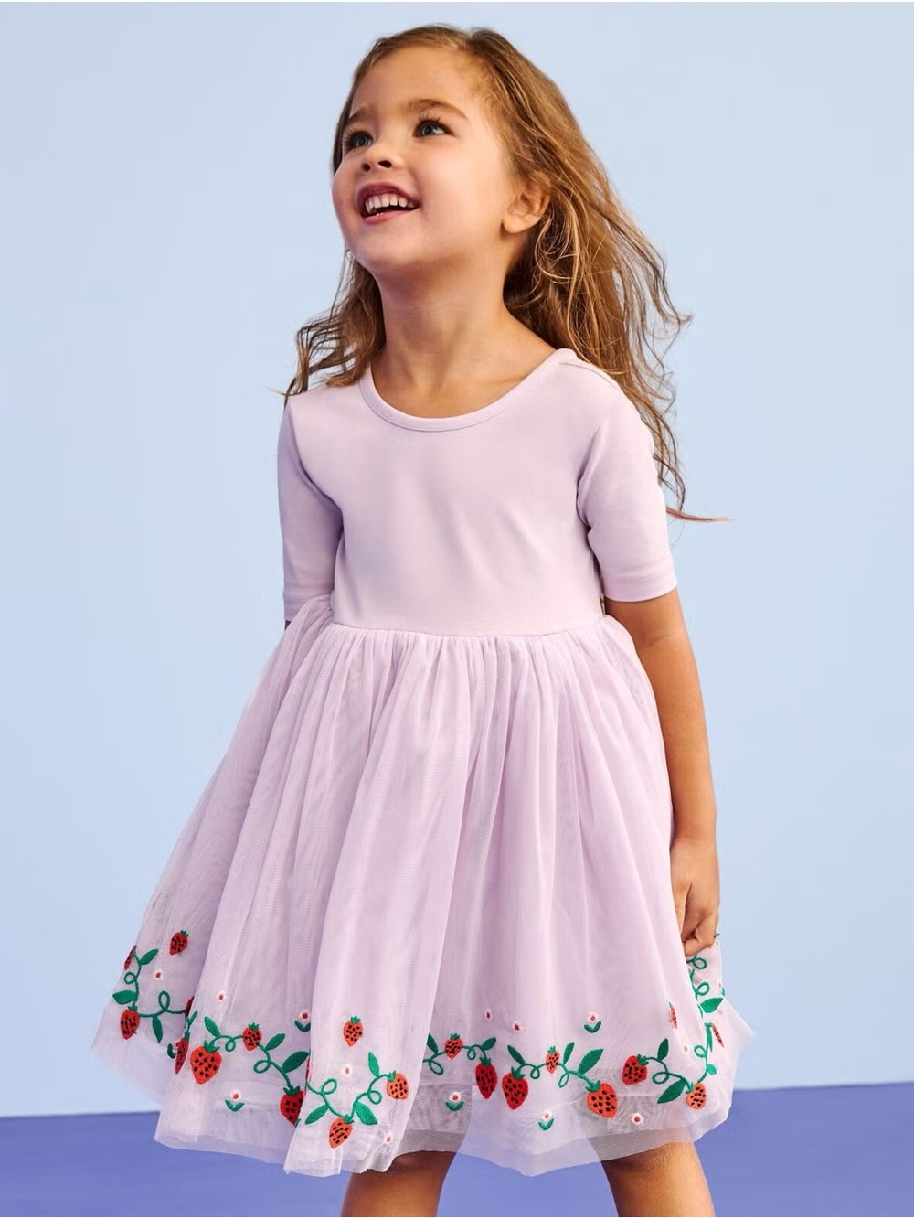 Hanna Andersson Lilac Strawberry Embroidered Tulle Dress 3T - Picture 2 of 2